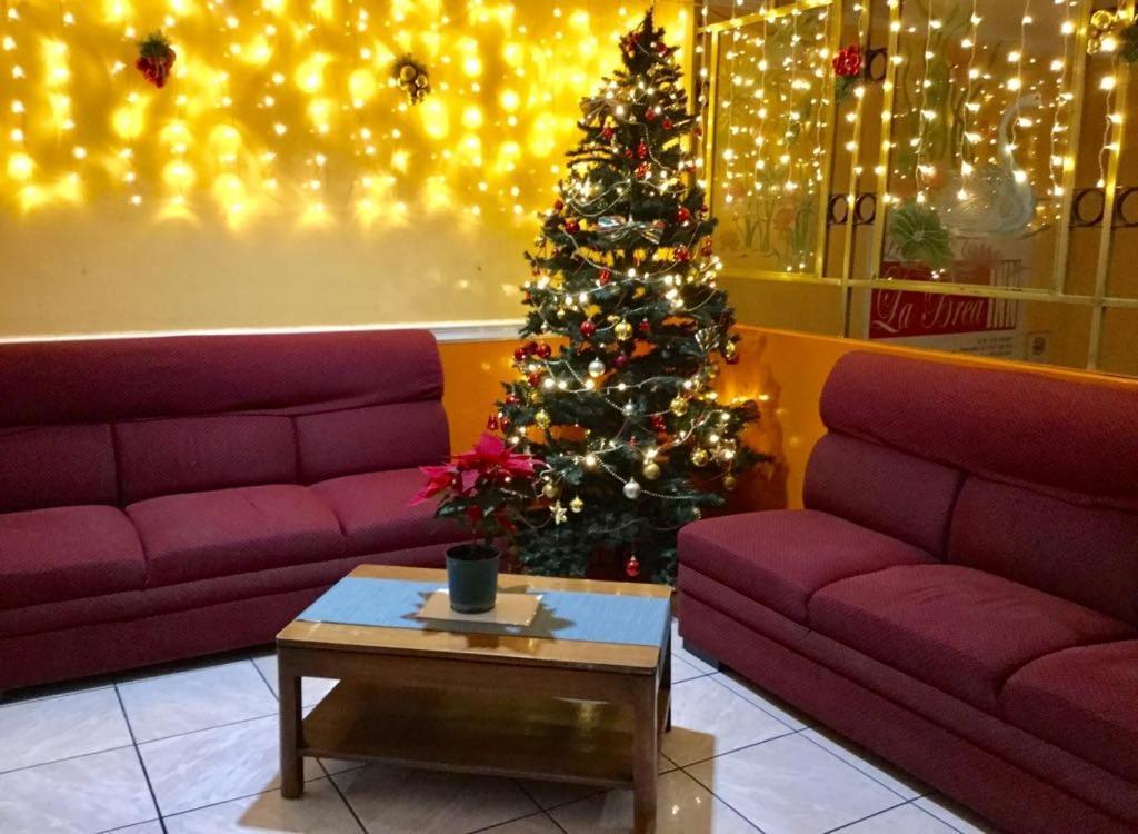 La Brea Inn Baguio City Eksteriør billede